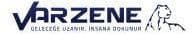 Varzene logosu